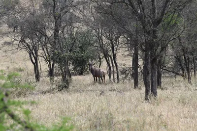 DSC_3669 (Large).JPG